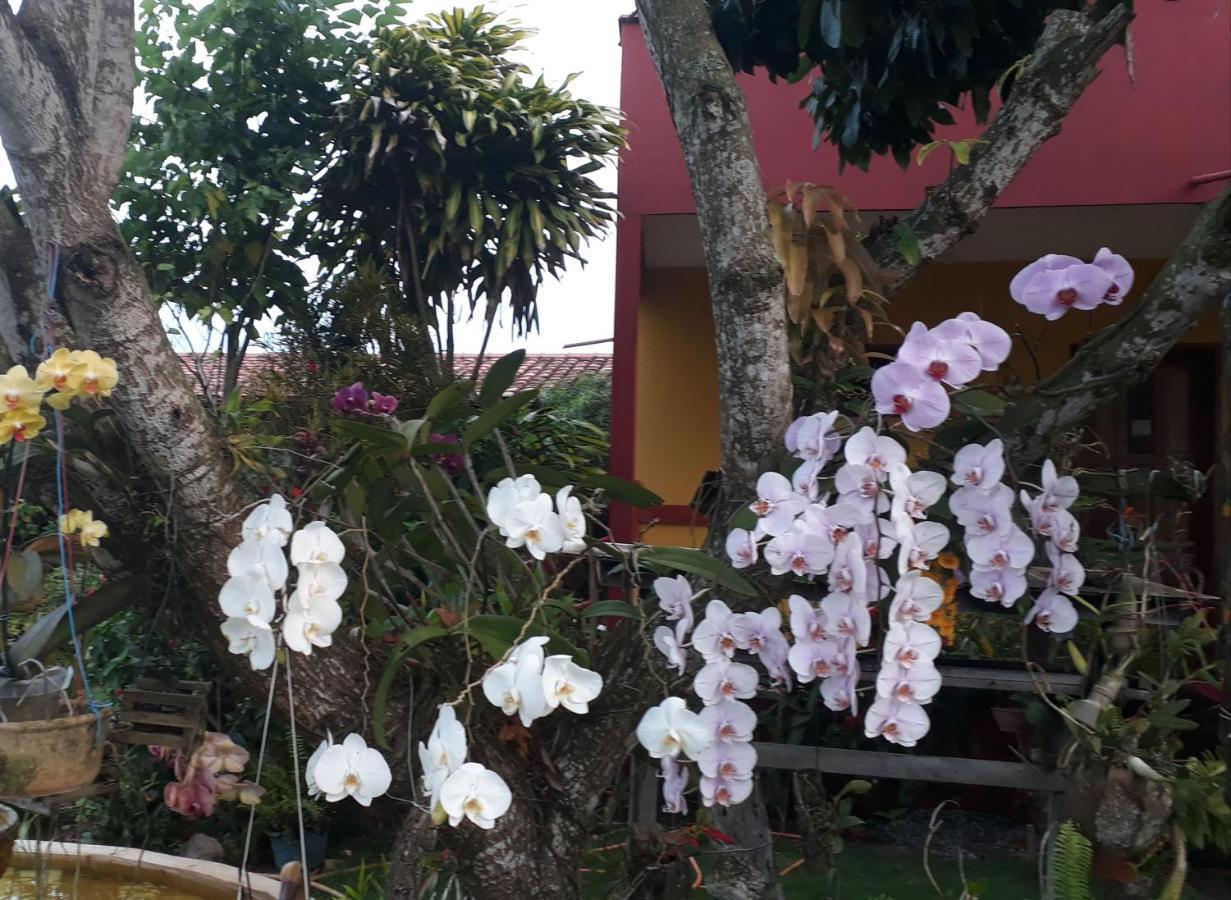 Pousada Bromelias - Suites E Aptos Нова-Висоза Экстерьер фото