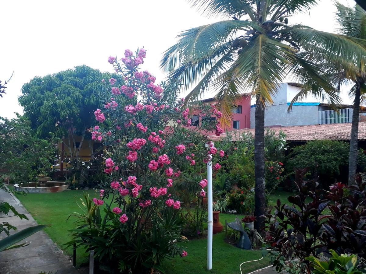 Pousada Bromelias - Suites E Aptos Нова-Висоза Экстерьер фото